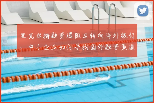 里克尔梅融资遇阻后转向海外银行,中小企业如何寻找国外融资渠道?