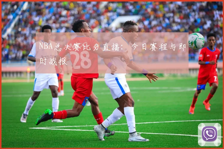 NBA总决赛比分直播：今日赛程与即时战报