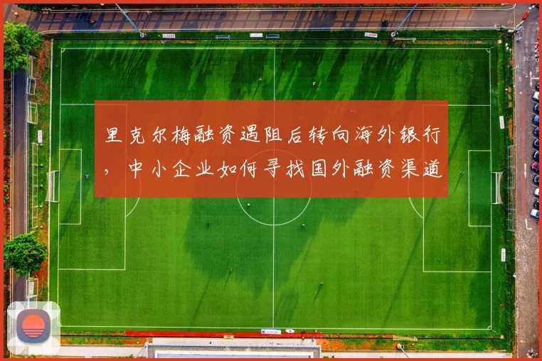 里克尔梅融资遇阻后转向海外银行，中小企业如何寻找国外融资渠道？